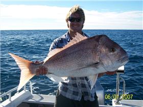 reel nice pinkie off bunno