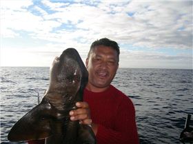 PORT JACKSON........YEAH