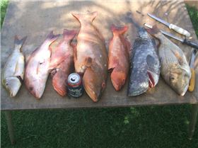 karratha to leeman 002