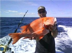 southern sports and tackle r&d