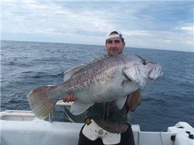 go to wafishaman.com to see more