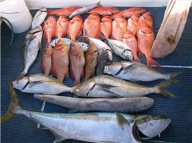 another two great days great catch