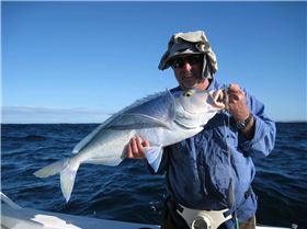 does it get any better