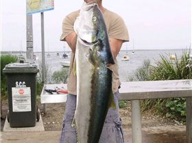 16 kg kingfish from jervis bay