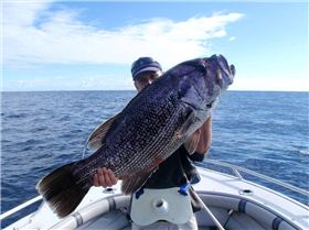 jigged jewi ,16 kg !