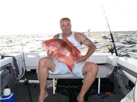 11.5KG Red