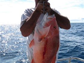 Finally I got my turn,nice red