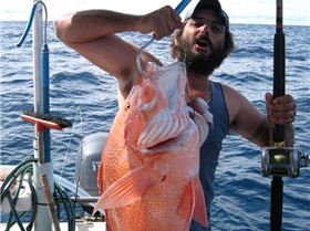 James with a red to smash Mickheads record