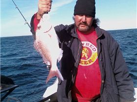 GET'EM...............BRO!!!