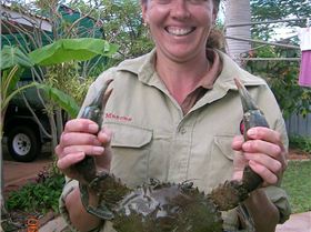 This didn't come from the collie river