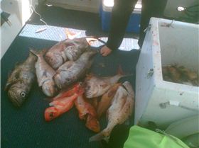 Wayne's boat - Augusta