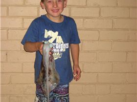 Caught this Squid all by myself!