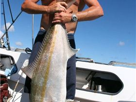 10-06-7 shark bay 235