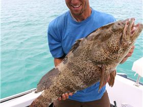 10-06-7 shark bay 415