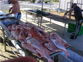 2009 1018fishing0073