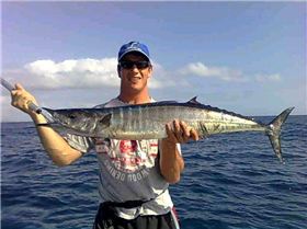 Bit of this, bit of that