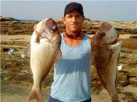 Bit of this, bit of that