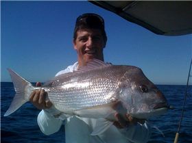 Bit of this, bit of that