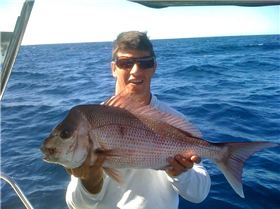 Bit of this, bit of that