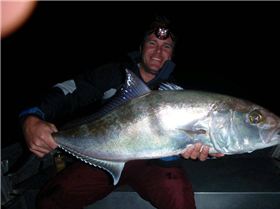 Bit of this, bit of that