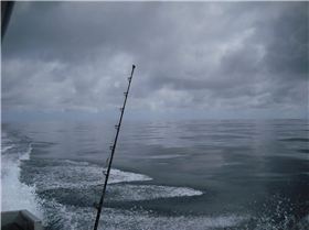 Now thats a glass off !