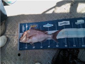 GUN'S DAY.........!!!