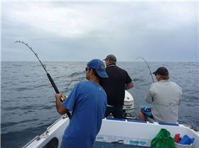 all hooked up at once ! thats fishing!