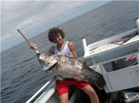 17 kilo dhufish