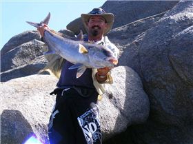 Sambo from the stones