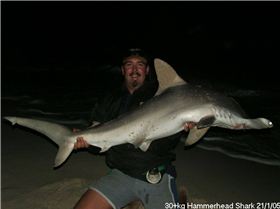 Hammerhead on tailor rig no wire