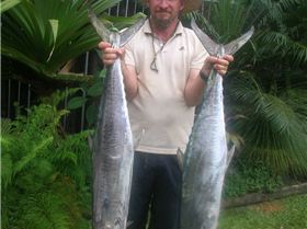 12kg and 14 kg mackeral
