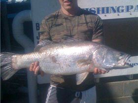 my first barra (75cm)