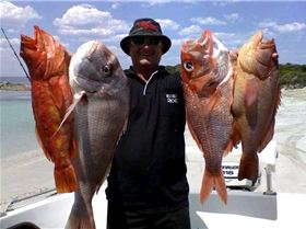 4 OF THE BEST WITH PAULY