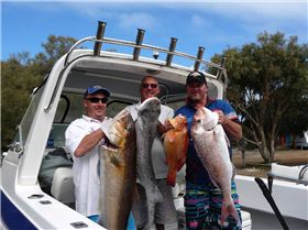 BEST OF THE DAYS CATCH