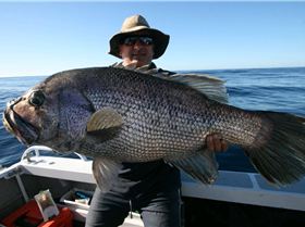 16 kg dhuie glassed off