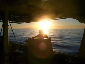 another day at the office