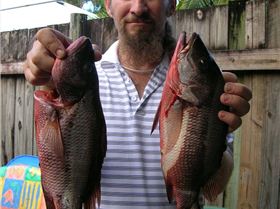 48cm and 46cm jacks from the groves