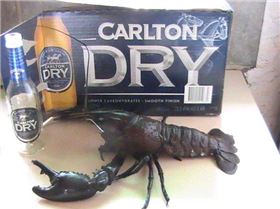 Big Sou-West Marron on SNARE