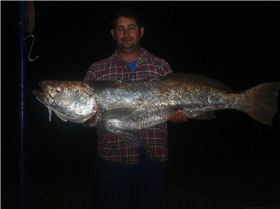 A nice mulloway a got a few years back