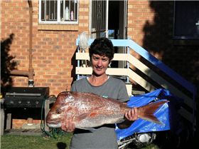 mammies first snapper