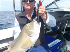 My 3.75kg Baldy on good Friday