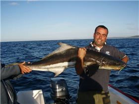 25kg cobia on 7kg spin gear