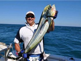 What do i have here?