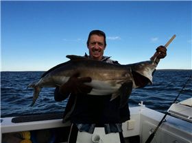 20kg+ Cobia
