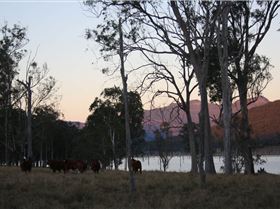 start to a great day