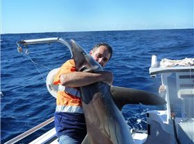 tomkattoo fishing 8ft 70 kgs