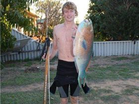 9kg parrot fish