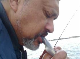 FRESH SASHIMI SQUID.......MMM........YUM...YUMM........