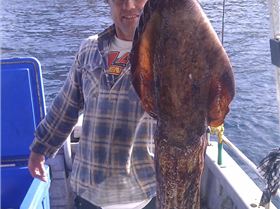 8KG cuttlefish