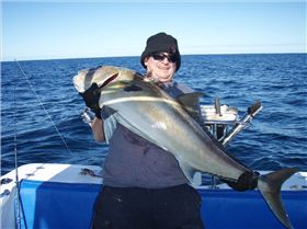 samson fish,many caught and released,some unstoppable.